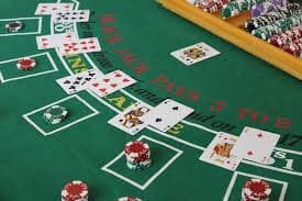 Halaman layanan pelanggan ectogel yang mudah diakses dan responsif pada perangkat mobile